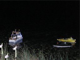 Lunz 2008