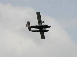 Lunz 2008