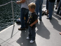 Lunz 2008