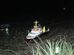 Lunz 2008