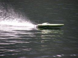 Lunz 2008