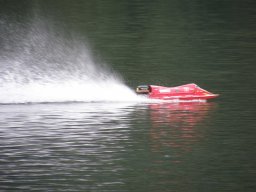 Lunz 2008