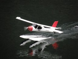 Lunz 2008
