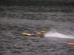 Lunz 2008