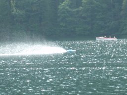 Lunz 2008