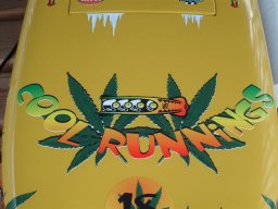 Lunz 2008