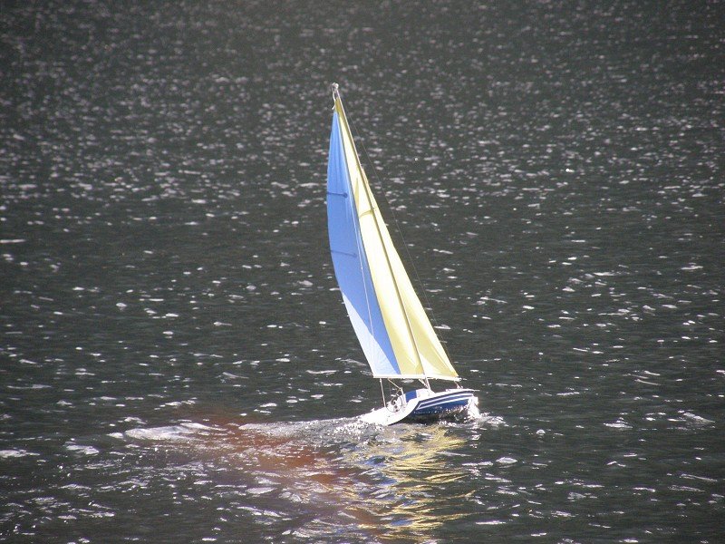 Lunz 2009