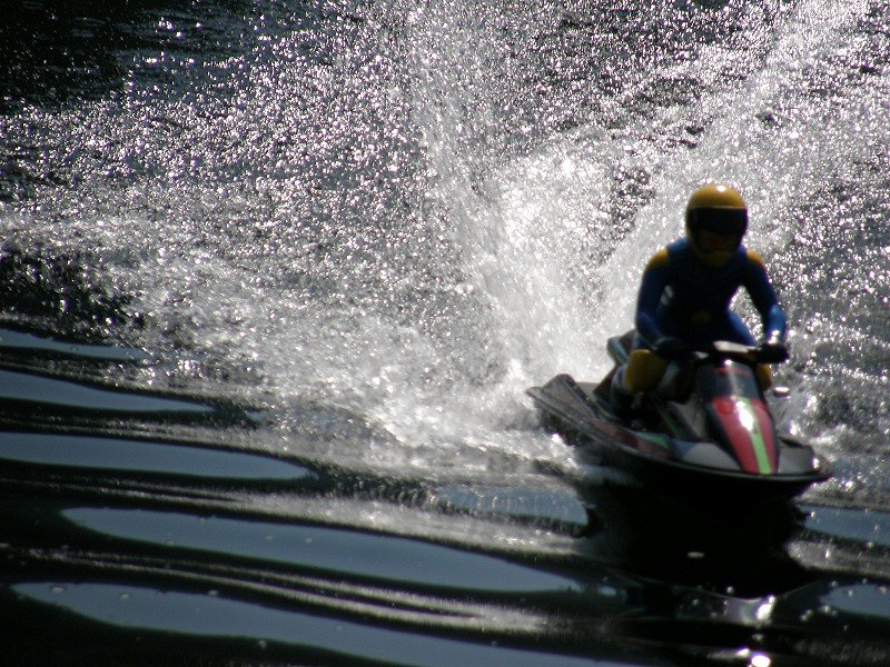 Lunz 2009