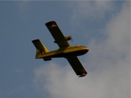 Lunz 2009