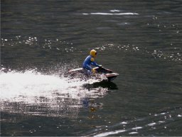 Lunz 2009