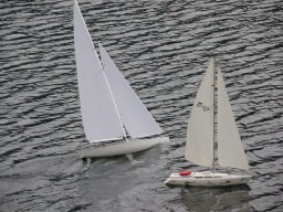 Lunz 2009