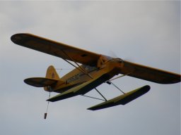 Lunz 2009