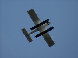 Lunz 2009