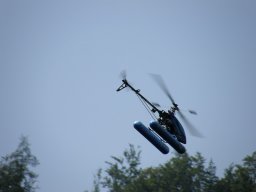 Lunz 2009