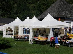 Lunz 2009