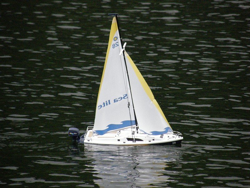 Lunz 2010