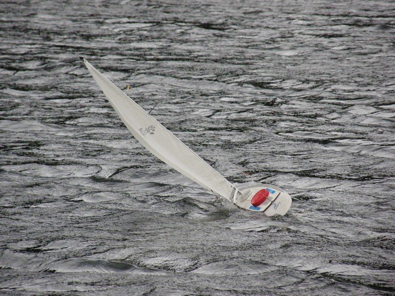Lunz 2010