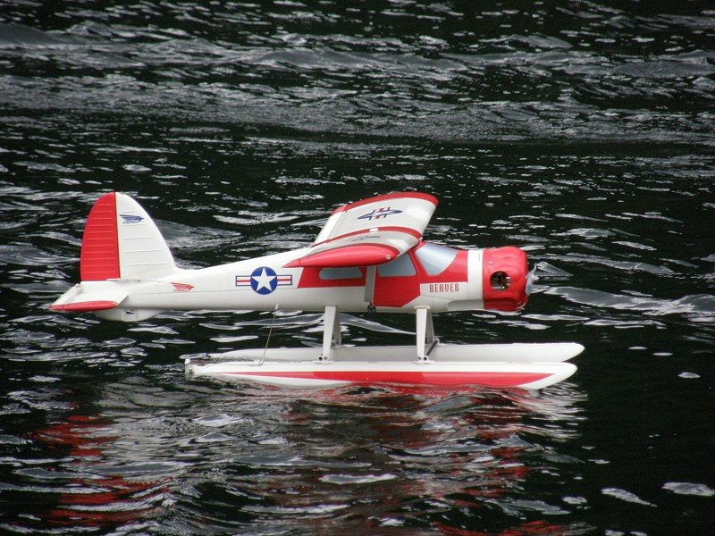 Lunz 2010
