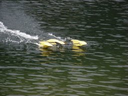 Lunz 2010