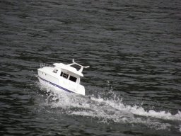 Lunz 2010