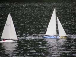 Lunz 2010