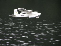 Lunz 2010