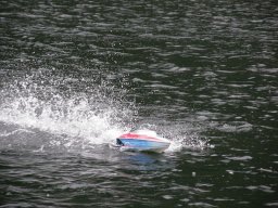 Lunz 2010