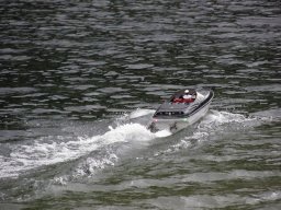Lunz 2010