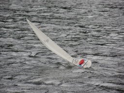 Lunz 2010
