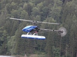Lunz 2010