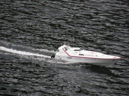 Lunz 2010