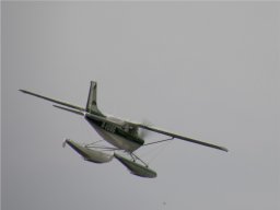 Lunz 2010