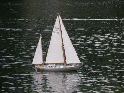 Lunz 2010