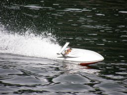 Lunz 2010