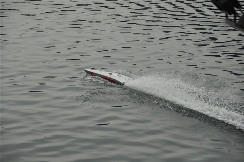 Lunz 2011