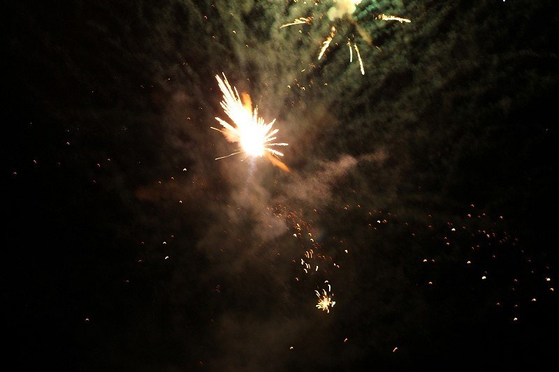 Lunz 2011