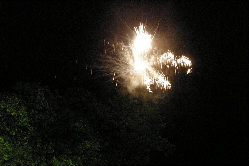 Lunz 2011