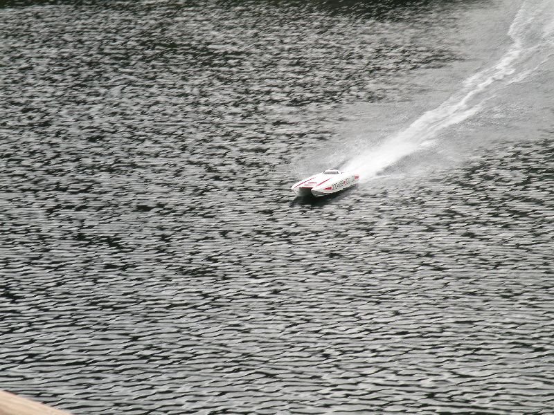 Lunz 2011