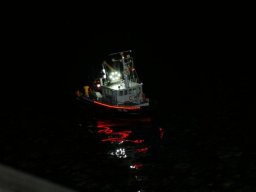 Lunz 2011