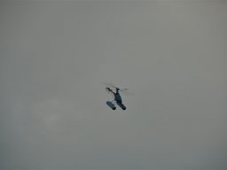 Lunz 2011