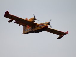 Lunz 2011