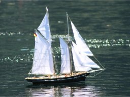Lunz 2011