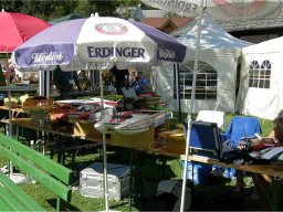 Lunz 2011