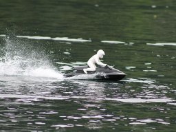 Lunz 2011
