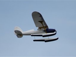 Lunz 2011