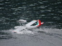 Lunz 2011