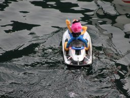 Lunz 2011