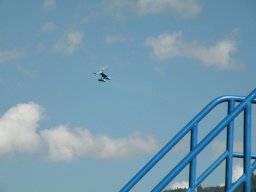 Lunz 2011
