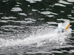 Lunz 2012