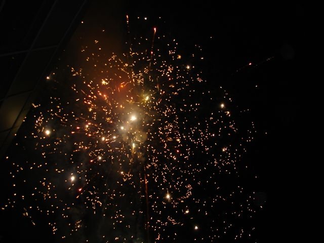Messe Wien 2006